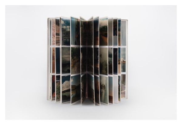 © Nina White - Detail of #11, one of the images which makes up the work "Family Album".