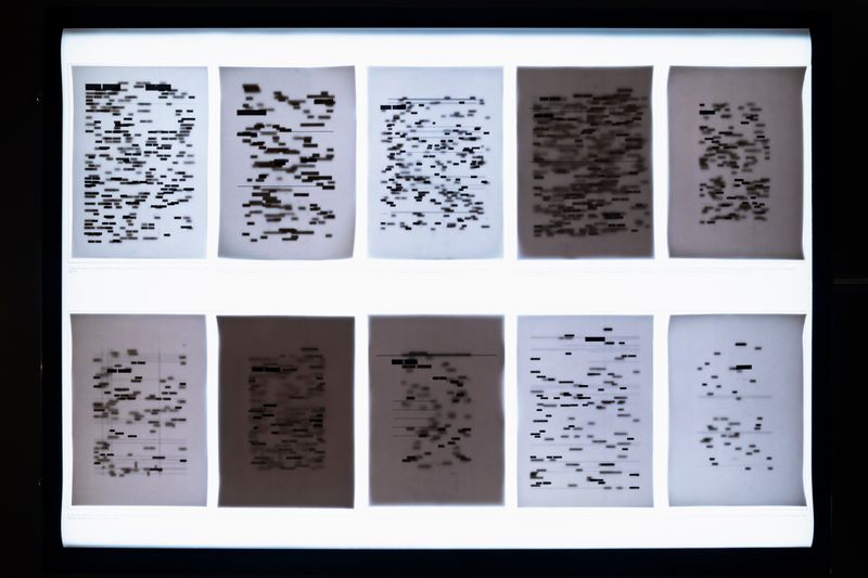 © Nina White - Overhead view of 1/5 lightboxes displaying "The Normality of the Patriarch"