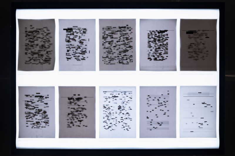 © Nina White - Overhead view of 2/5 lightboxes displaying "The Normality of the Patriarch"