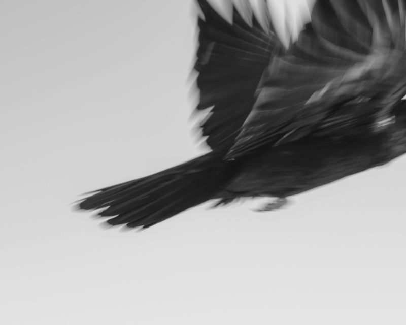 © Kyle Gyumin Dong - So Soon, 2022