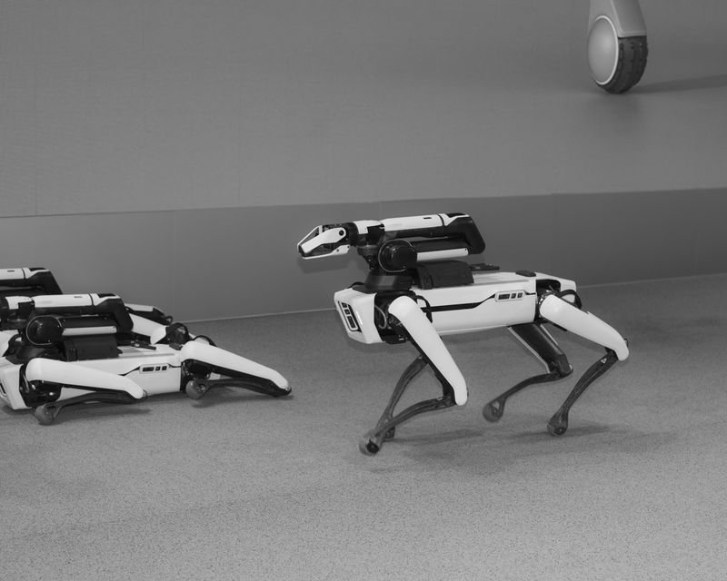 © Kyle Gyumin Dong - Breed, 2022