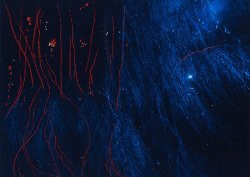 © Pritam MItra - Image from the Diary of a son photography project