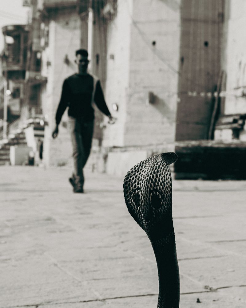 © Aaryan Sinha - Image from the Namaste or Whatever photography project