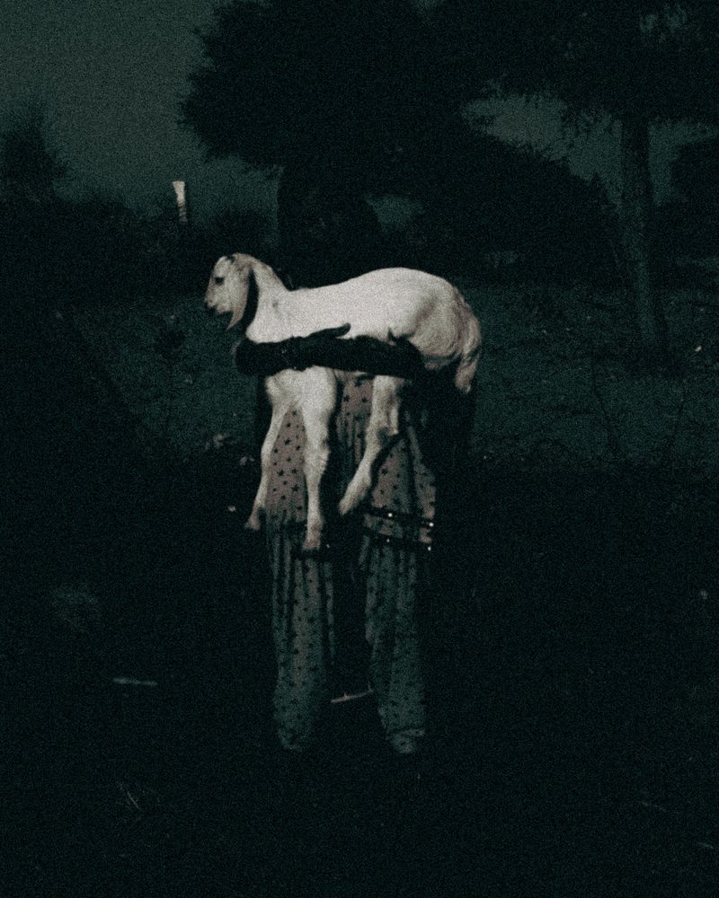 © Aaryan Sinha - Image from the Namaste or Whatever photography project