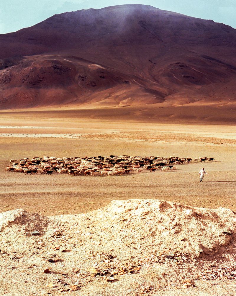 © Aaryan Sinha - The Silk Road