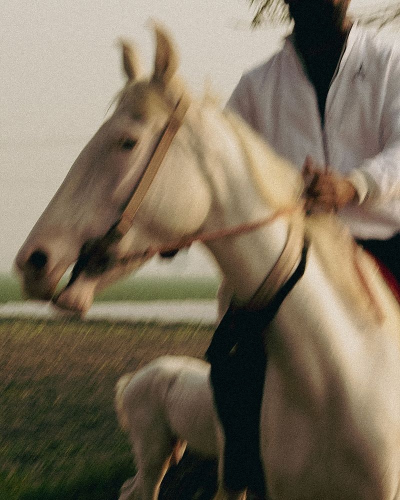 © Aaryan Sinha - Image from the This Isn't Divide and Conquer photography project