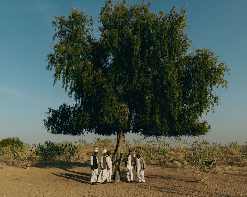 © Aaryan Sinha - Communion