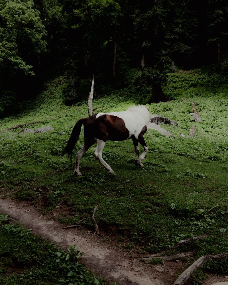 © Aaryan Sinha - Image from the This Isn't Divide and Conquer photography project