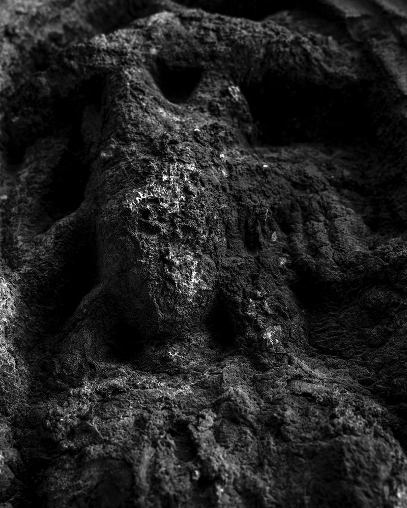 © Aaryan Sinha - Image from the This Isn't Divide and Conquer photography project