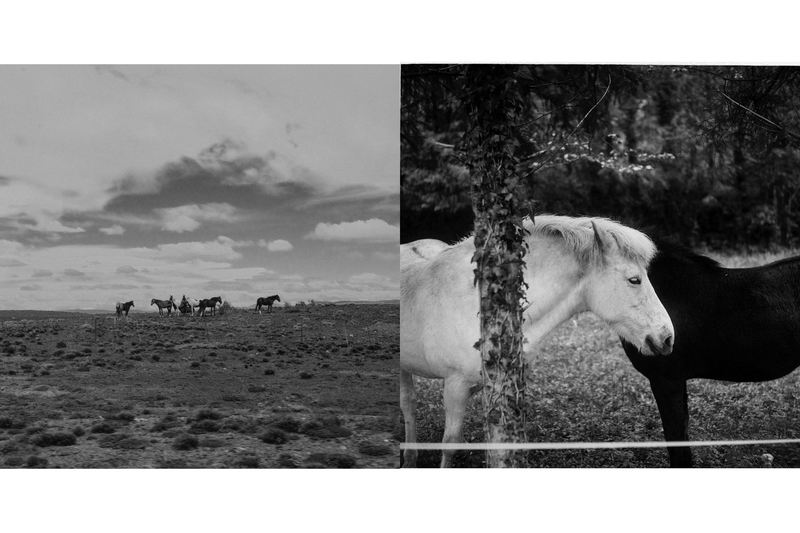 © Nina Butkovič - Image from the I Will Take Life Seriously Tomorrow photography project