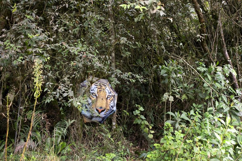 © Annegien van Doorn - Image from the biophilia photography project