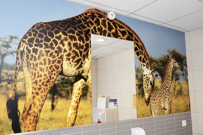 © Annegien van Doorn - Image from the biophilia photography project