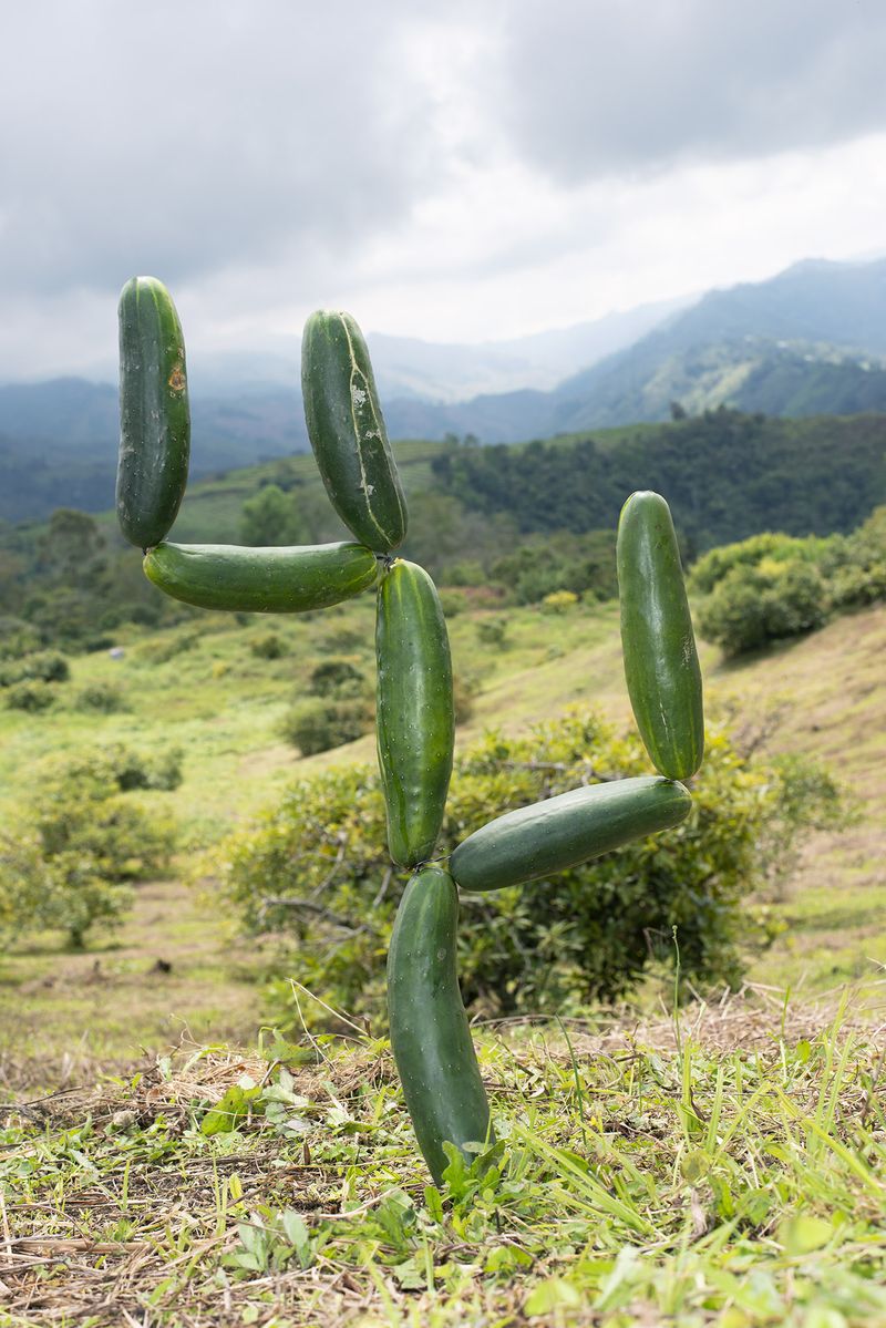 © Annegien van Doorn - Image from the biophilia photography project