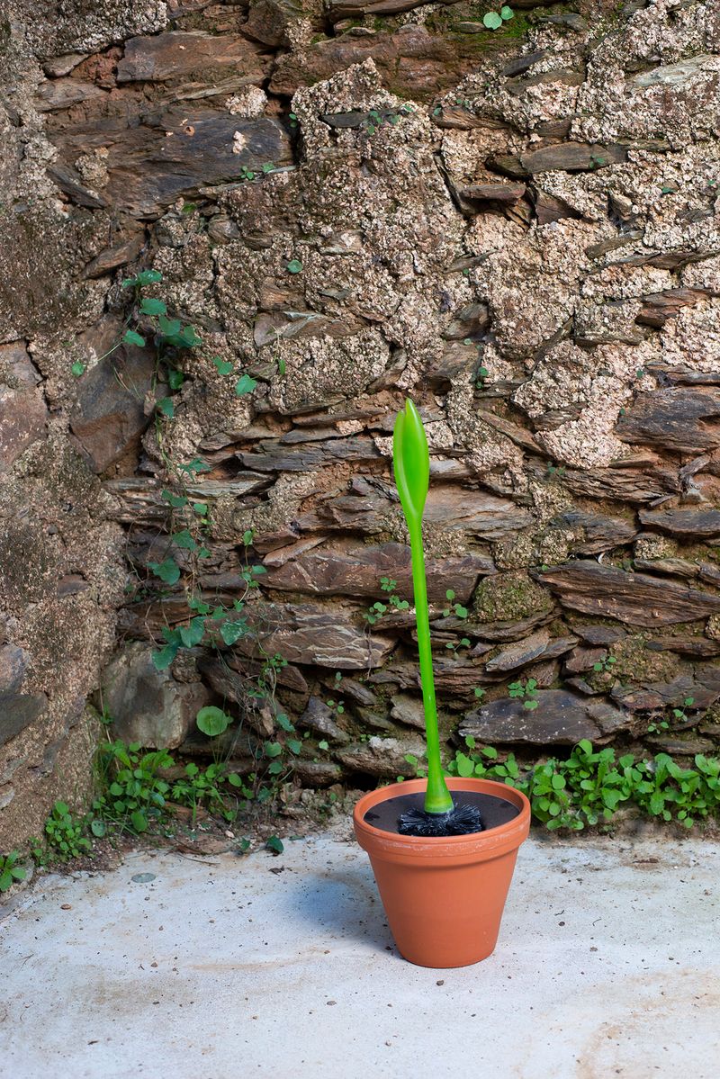 © Annegien van Doorn - Image from the biophilia photography project