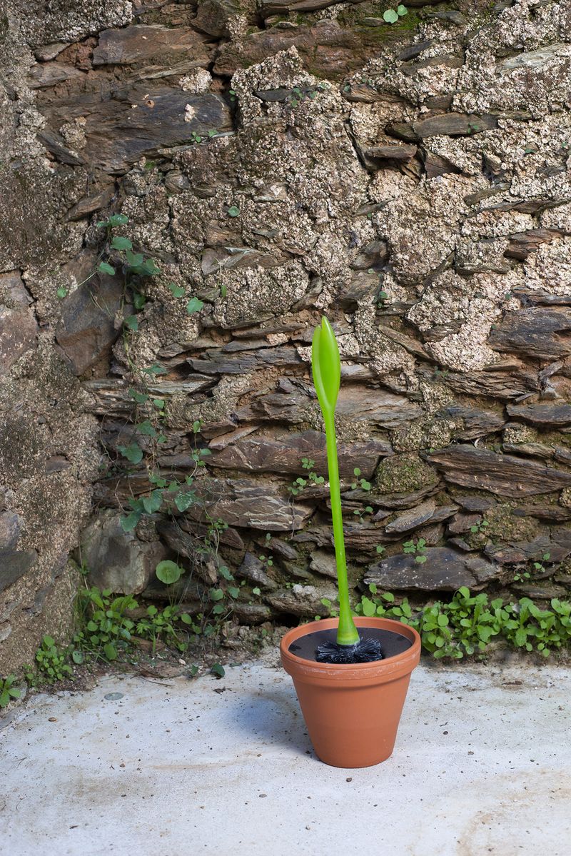 © Annegien van Doorn - Image from the biophilia photography project