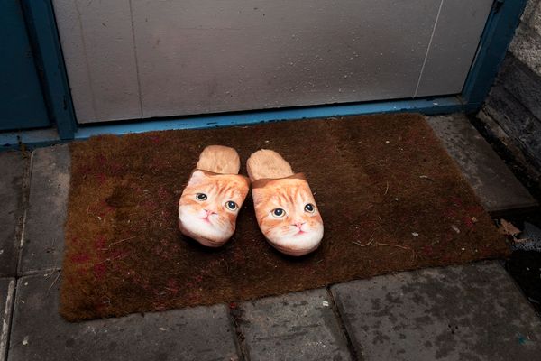 © Annegien van Doorn - Image from the biophilia photography project