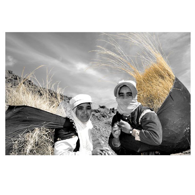 © Ledoux Maryse - Retour du champs