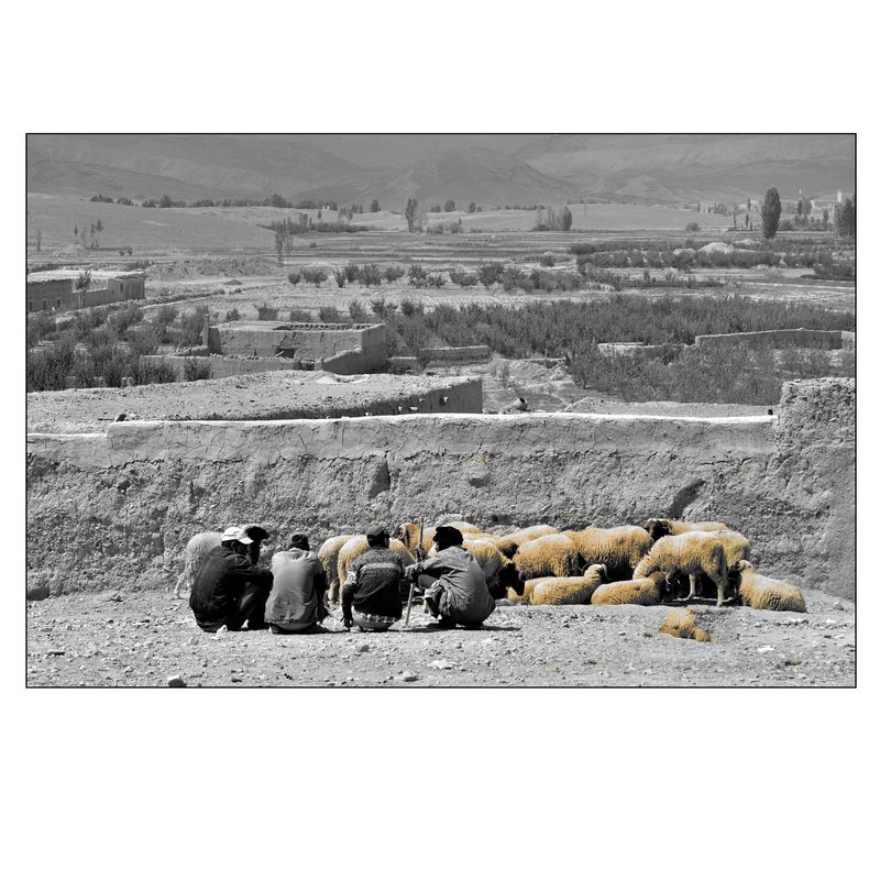 © Ledoux Maryse - Bergers nomades