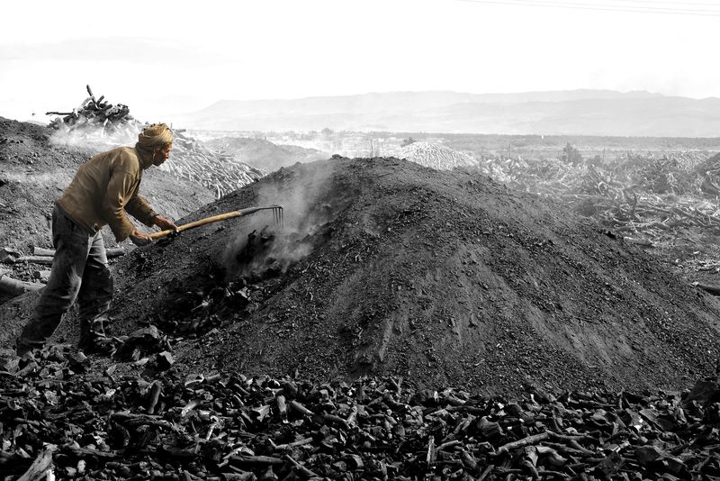 © Ledoux Maryse - Charbonnier