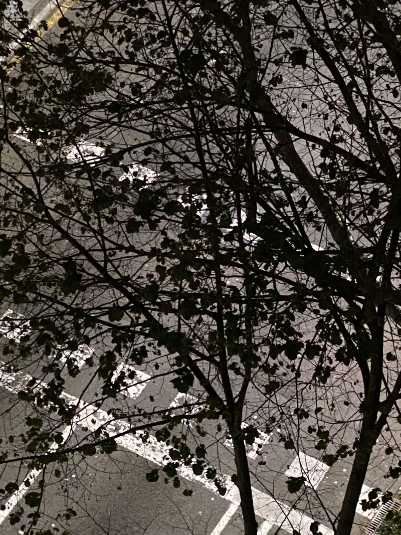 © Natalia Davtyan - Day 15/? of COVID-19 quarantine at 21:15