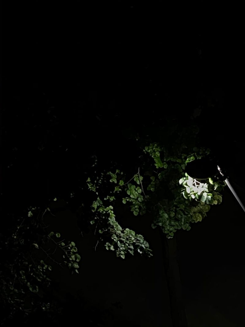 © Natalia Davtyan - Day 29/? of COVID-19 quarantine at 01:16