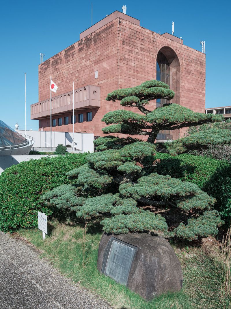 © Johann Karl - 7_Japanese White Pine, Nagasaki Atomic Bomb Museum