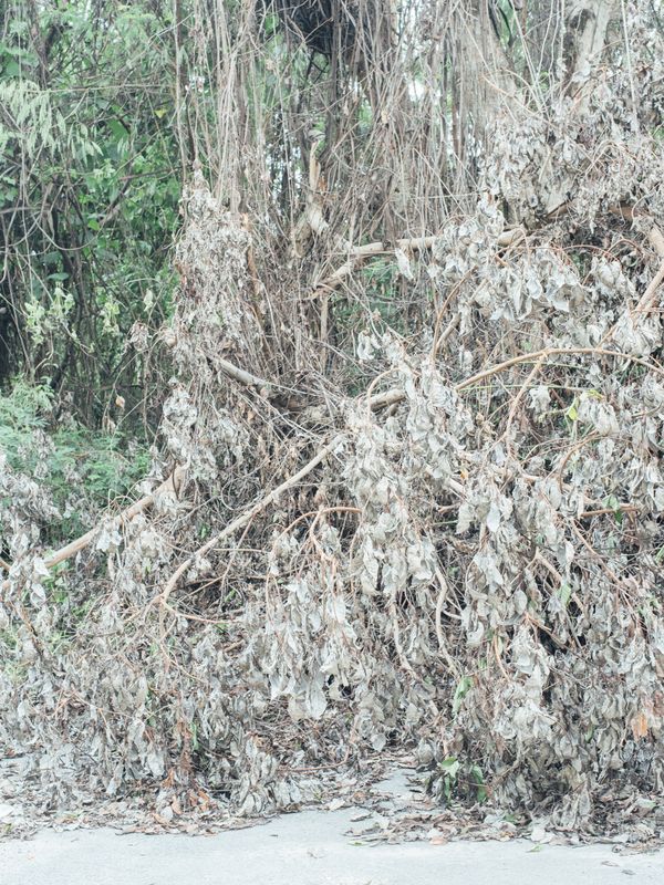 © Alvin Lau - Image from the Sentul photography project