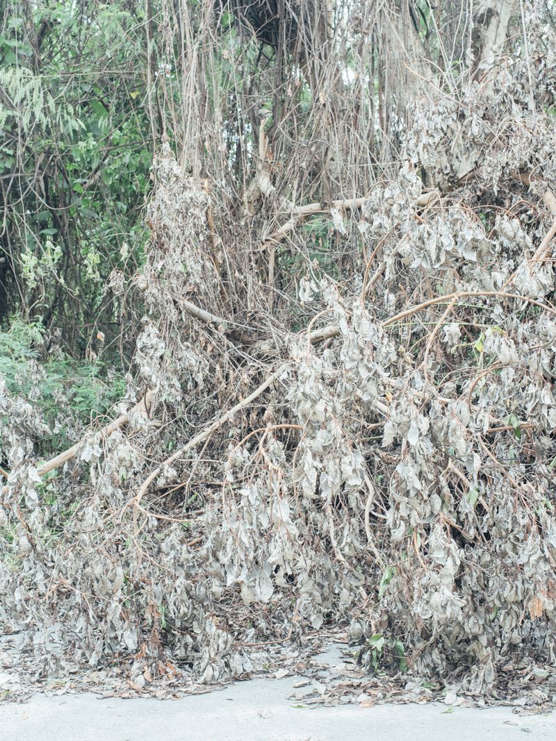 © Alvin Lau - Image from the Sentul photography project