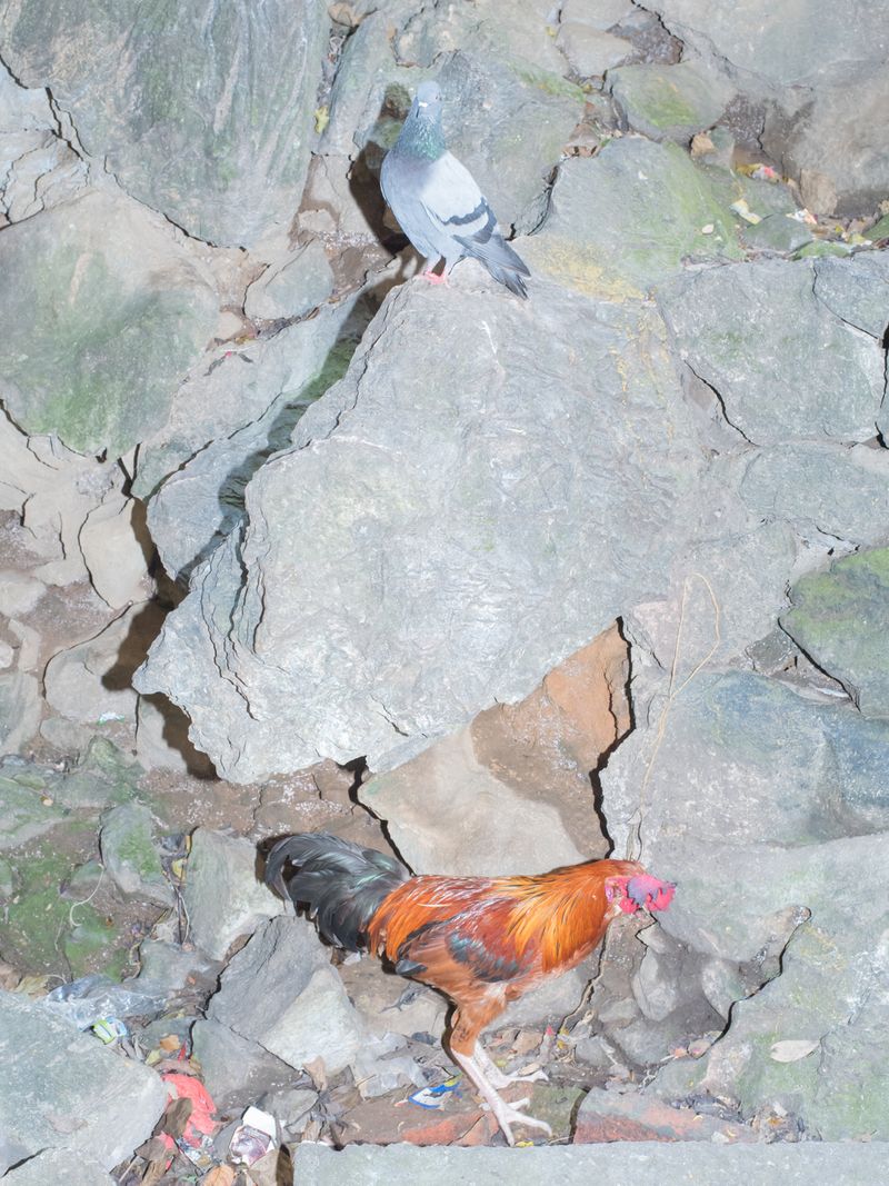 © Alvin Lau - Image from the Sentul photography project