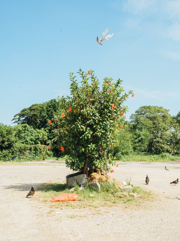 © Alvin Lau - Image from the Sentul photography project