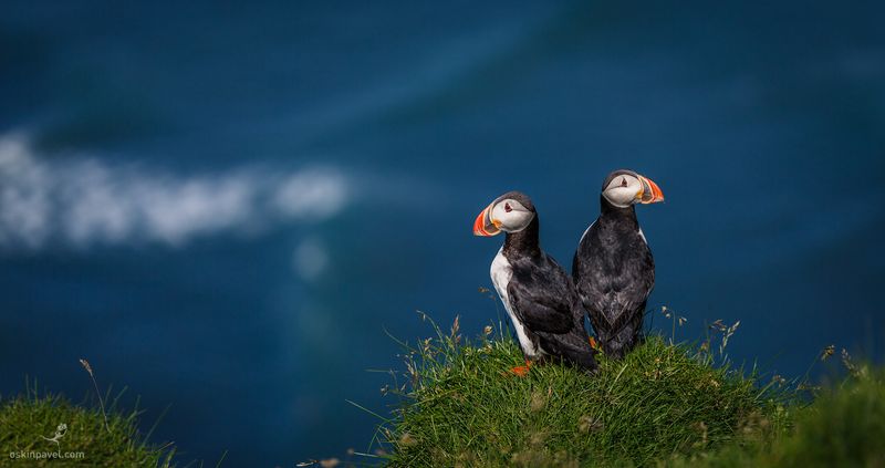 © Pavel Oskin - Image from the The World of Iceland photography project