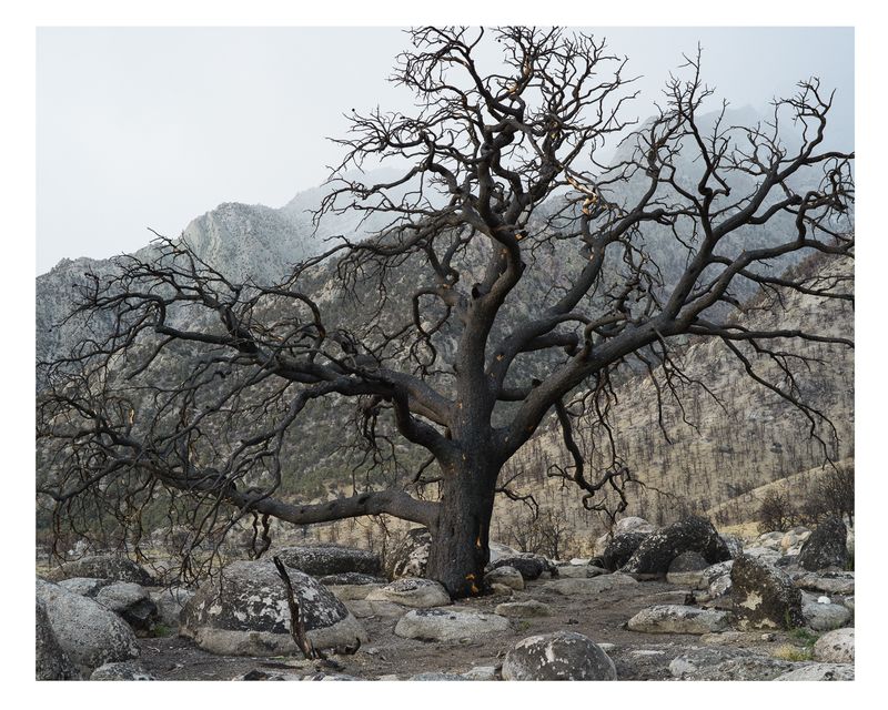 © Todd Stewart - Image from the The Course of Water photography project