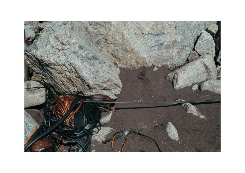 © Benjamin Normand - Image from the Journal of a Wandering Among Seaweed photography project