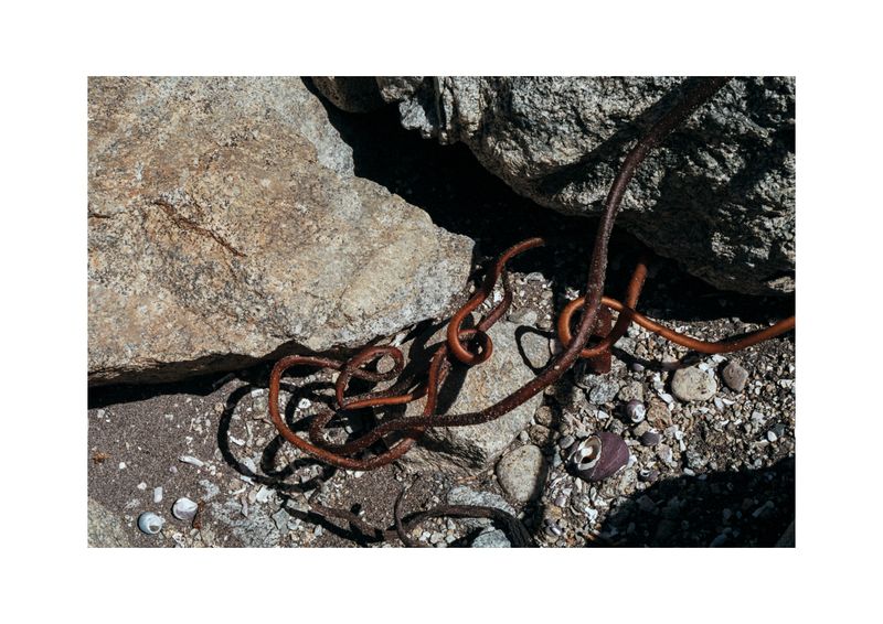 © Benjamin Normand - Image from the Journal of a Wandering Among Seaweed photography project