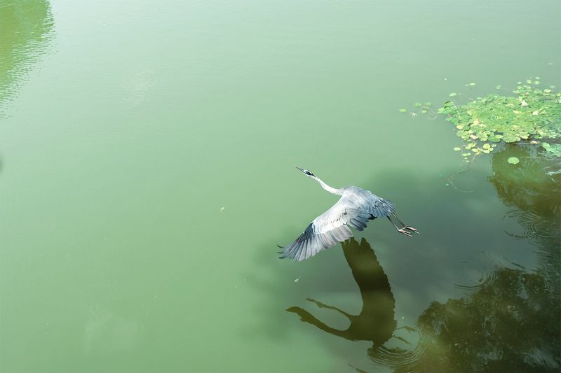 © Ugo Fraccaro - Image from the Banzai Kanpai photography project