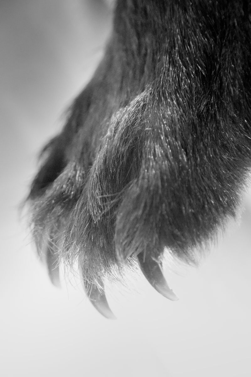 © Gabriele Verrastro - Image from the Vetriolo photography project