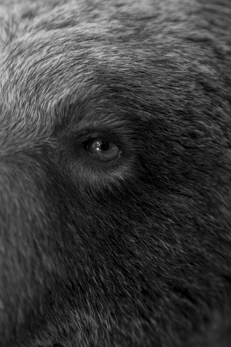 © Gabriele Verrastro - Image from the Vetriolo photography project