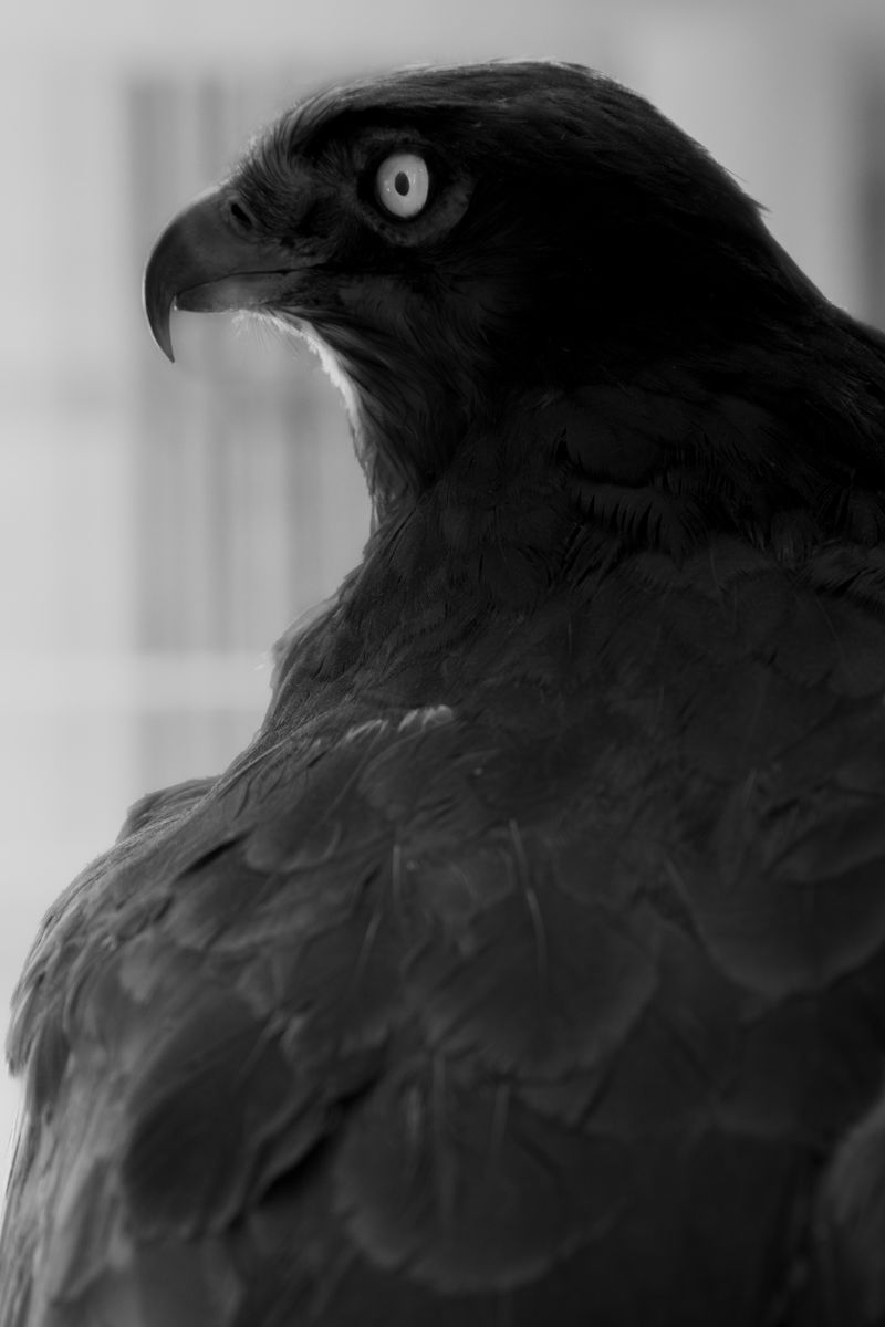 © Gabriele Verrastro - Image from the Vetriolo photography project