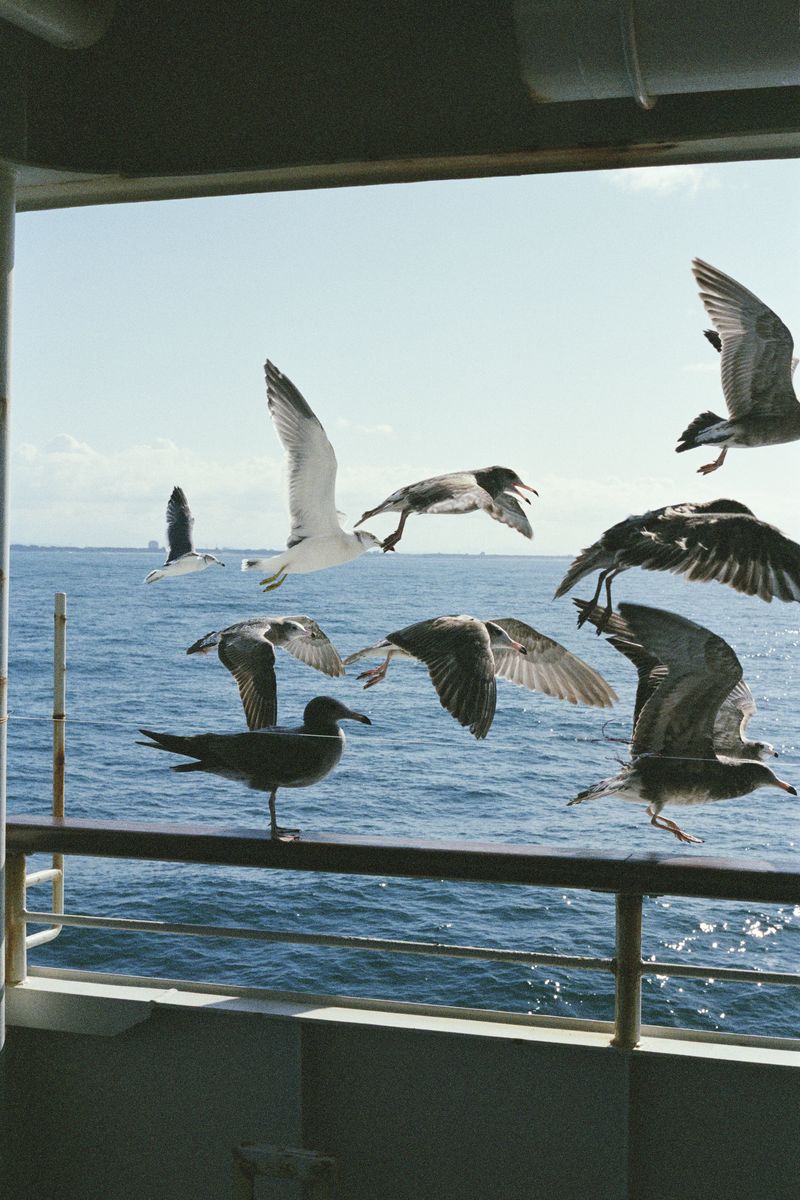 © Silvia Kyou - Image from the TOKI photography project