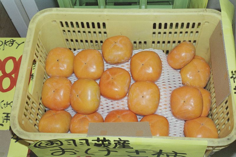 © Silvia Kyou - Image from the TOKI photography project