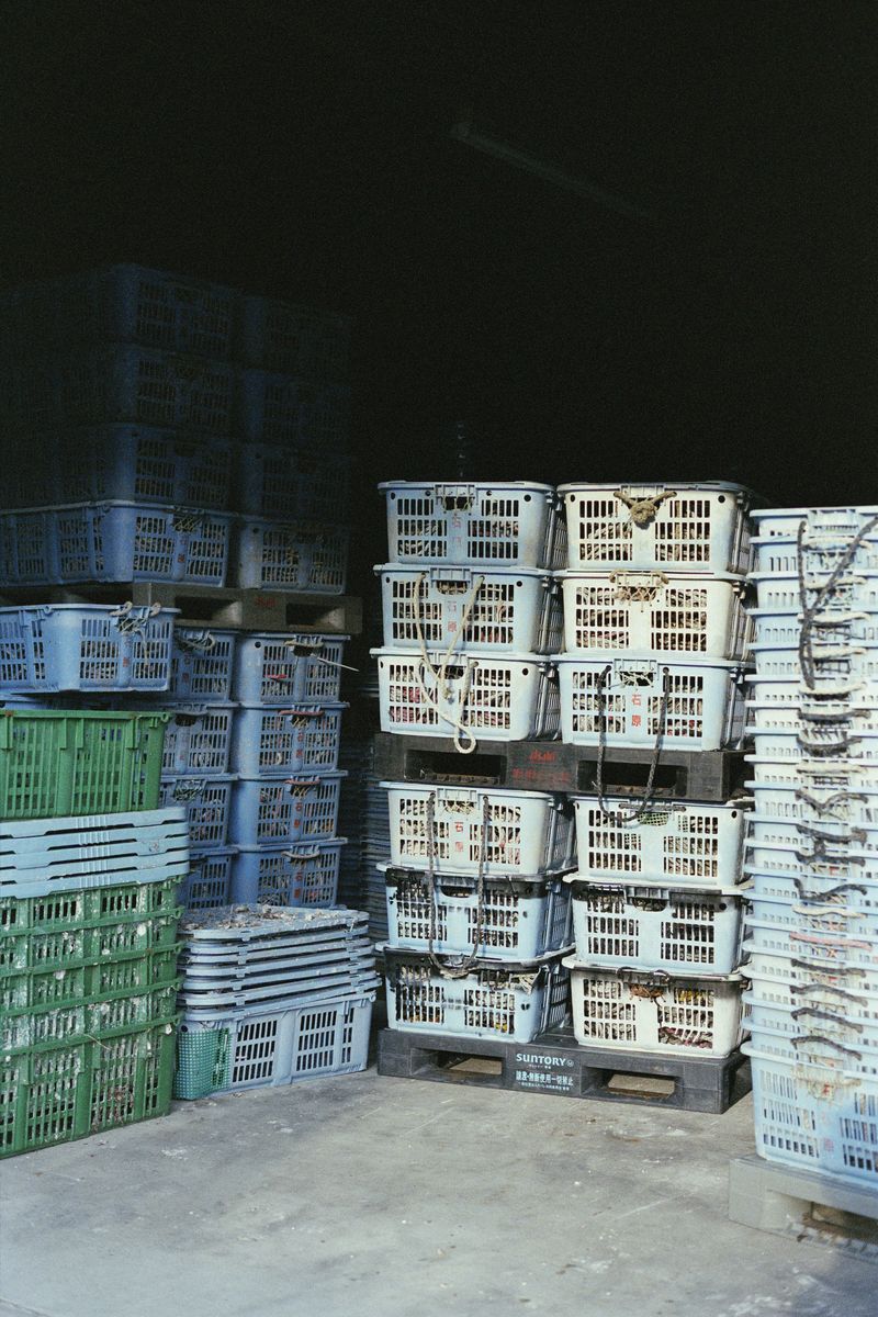 © Silvia Kyou - Image from the TOKI photography project