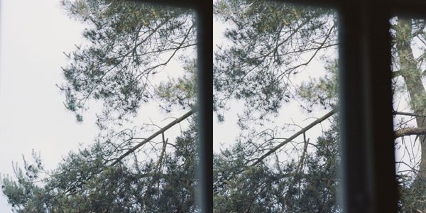 © Silvia Kyou - Image from the TWICE photography project