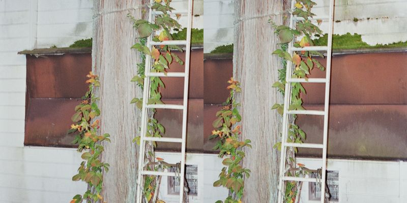 © Silvia Kyou - Image from the TWICE photography project