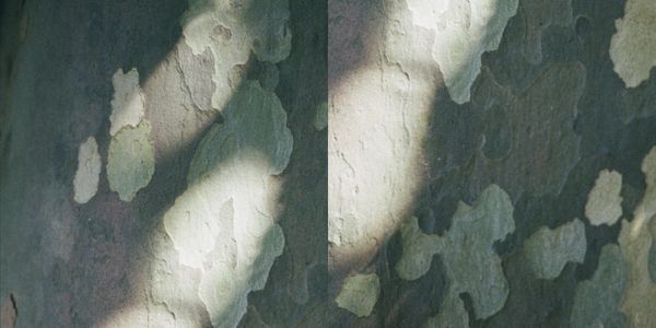 © Silvia Kyou - Image from the TWICE photography project