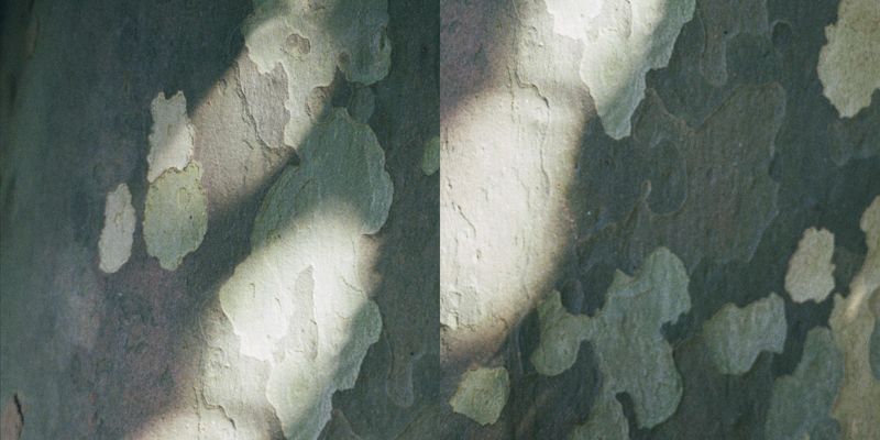 © Silvia Kyou - Image from the TWICE photography project