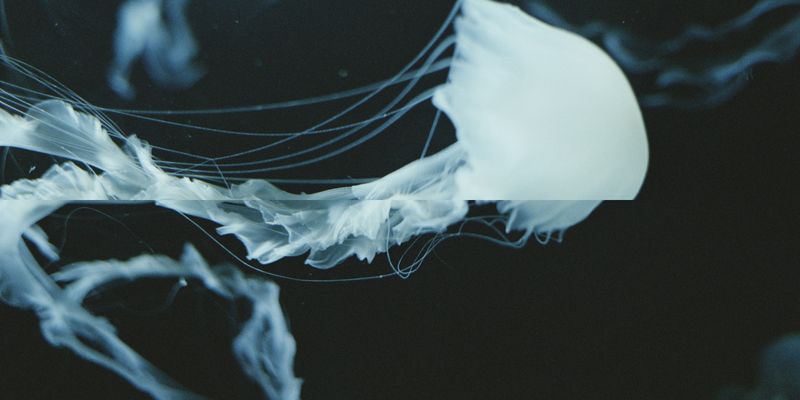 © Silvia Kyou - Image from the TWICE photography project