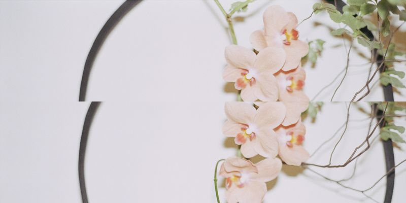 © Silvia Kyou - Image from the TWICE photography project