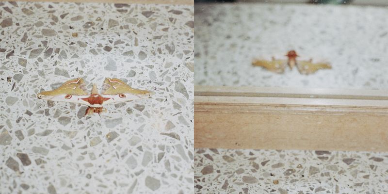 © Silvia Kyou - Image from the TWICE photography project