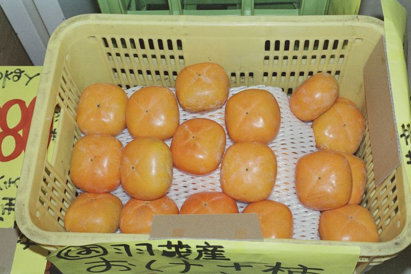 © Silvia Kyou - Image from the The soil remembers photography project