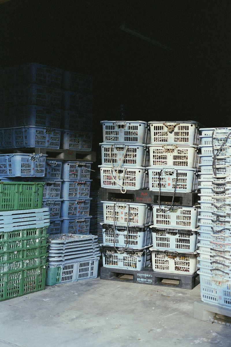 © Silvia Kyou - Image from the The soil remembers photography project